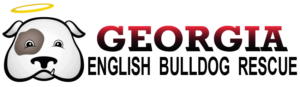 Georgia English Bulldog Rescue logo