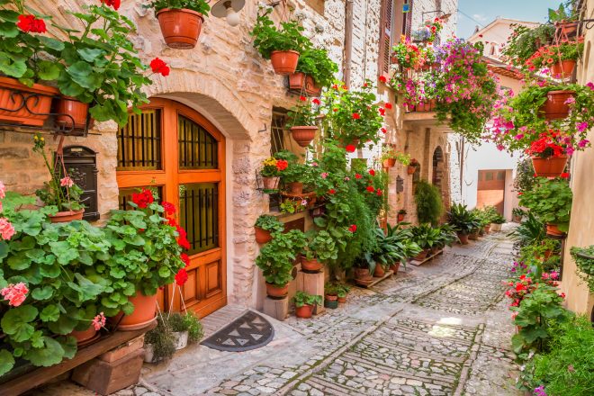 Beautiful Tuscany Street View with Interesting Doors